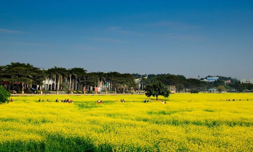 东莞这些特色旅游景点,本地人根本不会去