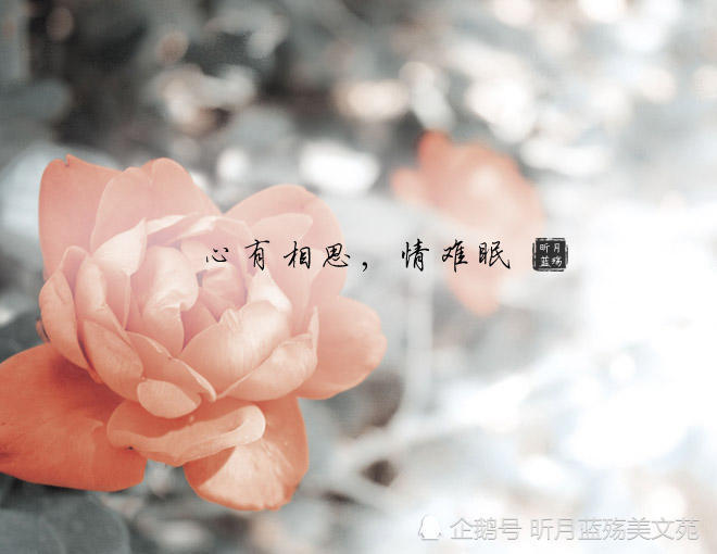 曲终人散的无奈,只有伤心人才懂