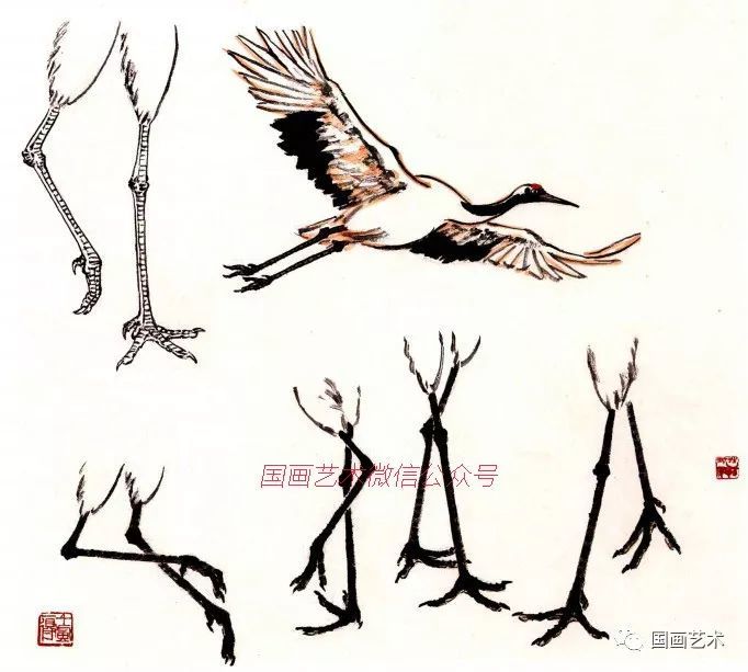 雏鹤的画法