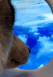 真会玩!家中稳坐,遨游蓝天!这些