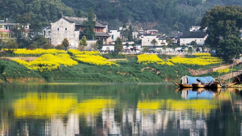 安徽,油菜花,安徽巢湖,呈坎,查济,新安江