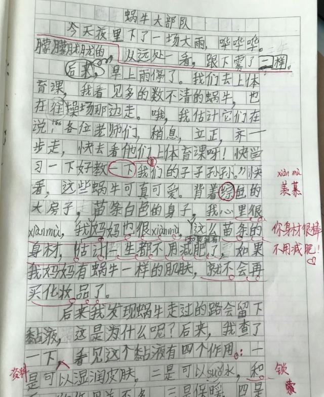 小学生搞笑作文,老师气的剁脚:你是真的大胆,零分怕不