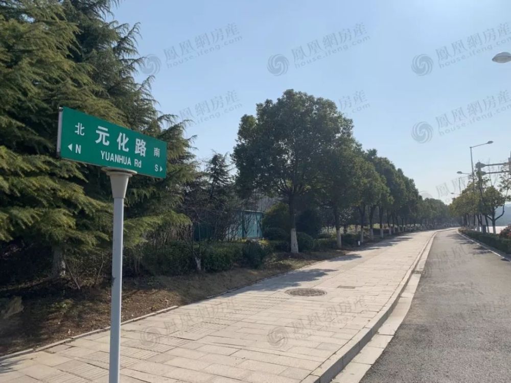 纬地路 项目广志路另一侧为小丘陵地貌,目前正在坡体加固,防止