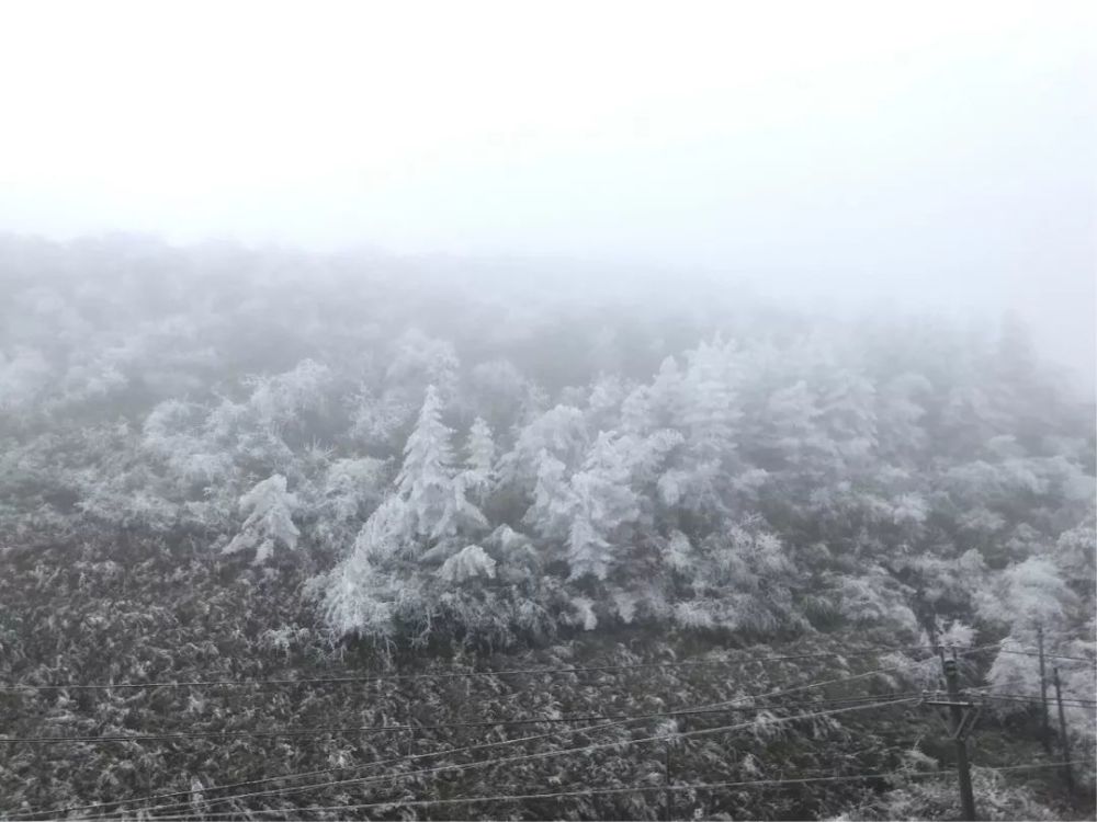 利川齐岳山的雪景奇观,错过也许明年才能再见了