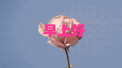 2019最新早上好动态图片带鲜花 早晨好动态表情图片大全