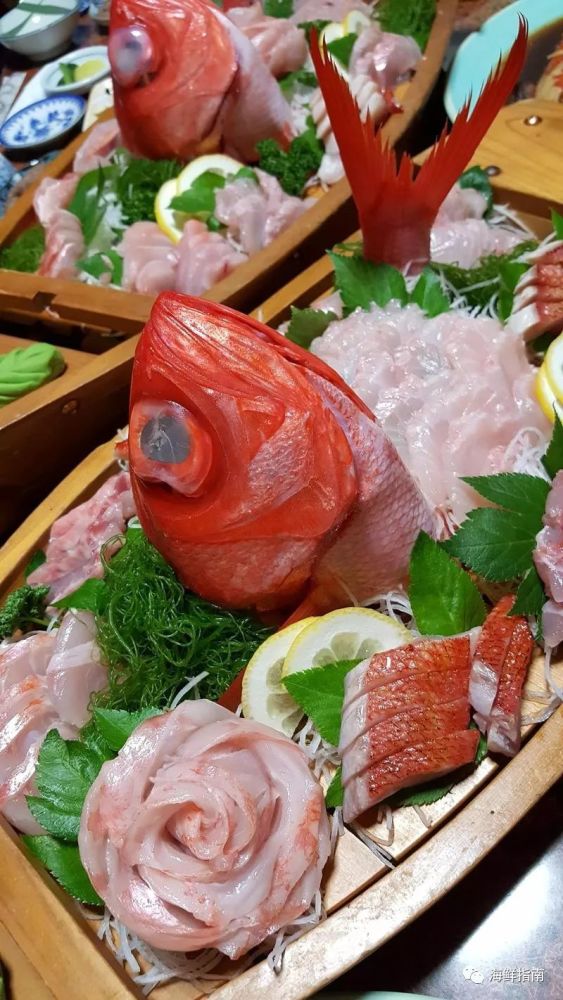 金目鲷,南洋金目鲷,大眼鸡……怎样分清楚这些红色鱼?