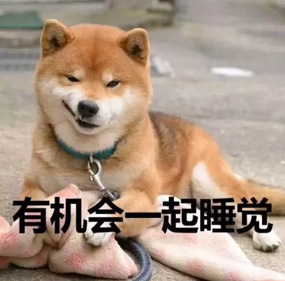 最后一张图片你,这张图片中的狗狗真的是太帅了,哈哈,说出来你可能不
