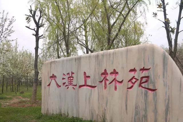 我会带你到 美丽的大汉上林苑