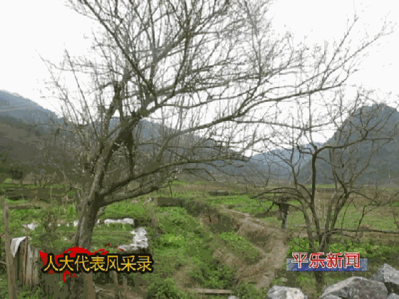 李兴娟:坚守同安的异乡人,照亮边远山村孩子读书之梦