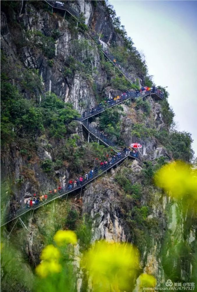 阳春春湾风景区满园春色,引来无数游客前来观赏