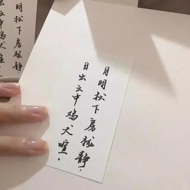 文字·治愈·背景图:我可以好脾气,但凭什么要惯着你!