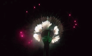 流光溢彩的彩色宝石花