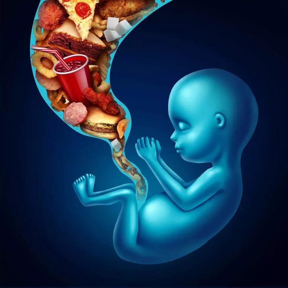 孕13周,胎儿快速发育,孕妈切忌营养过剩,切忌长肉不长