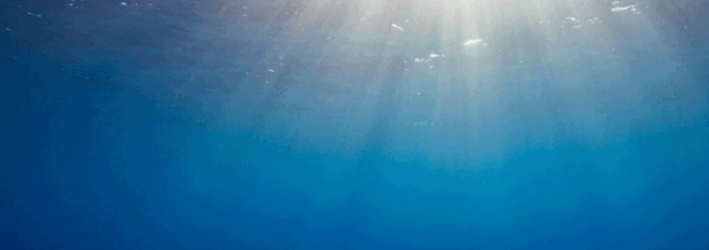 海洋的美丽需要人类的守护