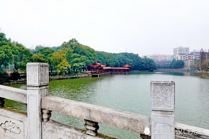枝江:细雨中 游五柳公园 碧水拱桥 亭阁影映 风景如画