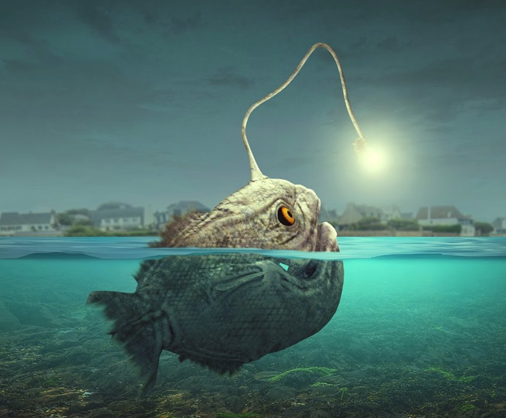 安康鱼的背上竟有一个生物发光器,它的发光原理是什么