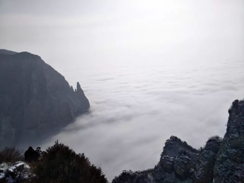 新春一场大雪，美腻了整个云台山