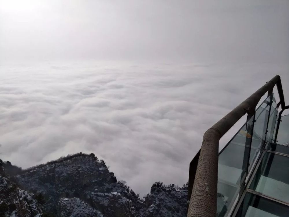 新春一场大雪，美腻了整个云台山