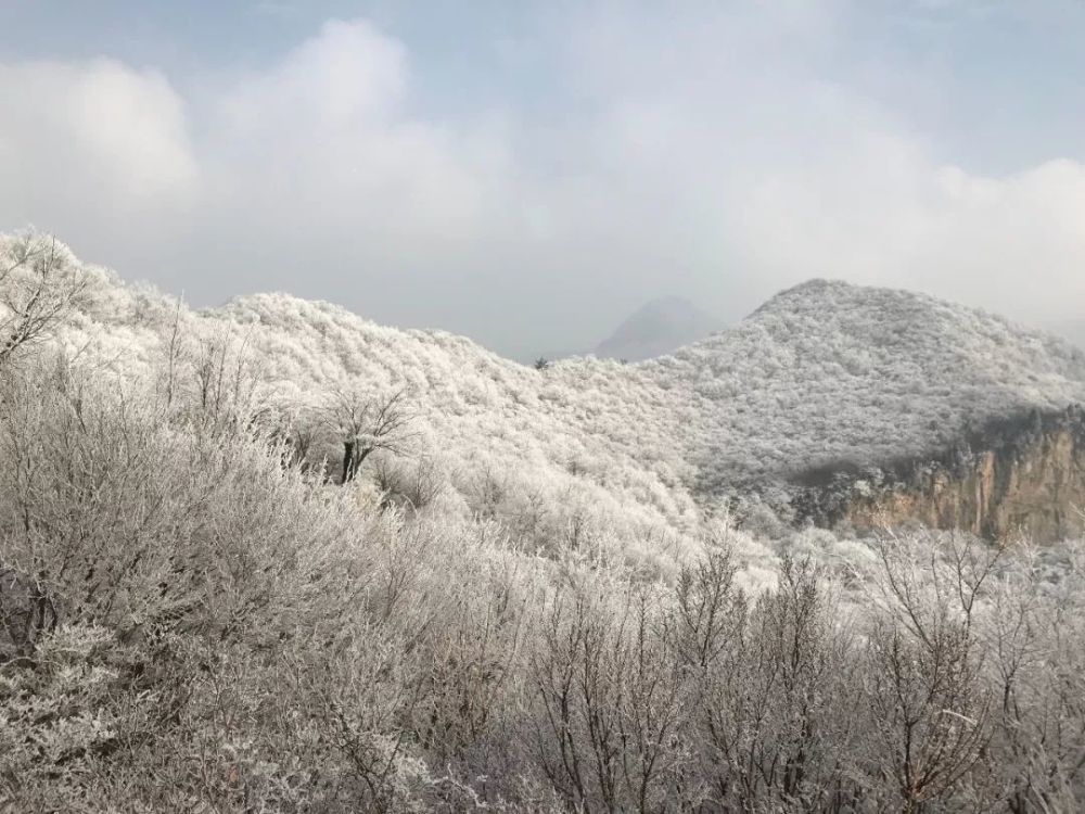 新春一场大雪，美腻了整个云台山