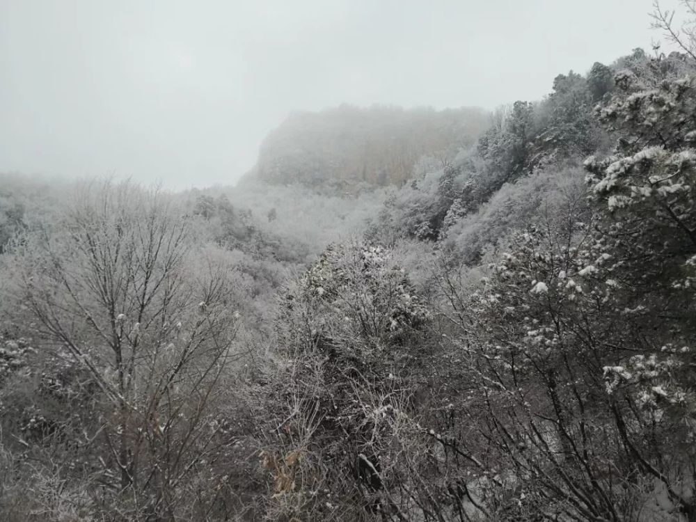 新春一场大雪，美腻了整个云台山