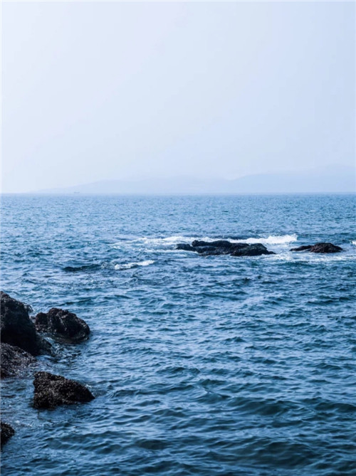 意境系壁纸海的声音:"一叶浮萍归大海,人生何处不相逢."