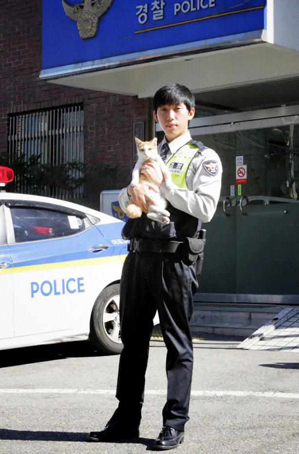 橘猫体内长毒瘤,警察众筹帮做手术后,它赖在警局就不走了