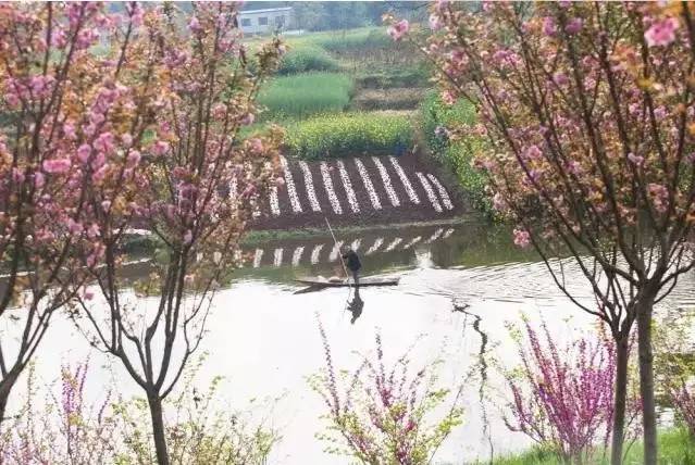 近几年,仁寿改变的不只是房价,还有这些…