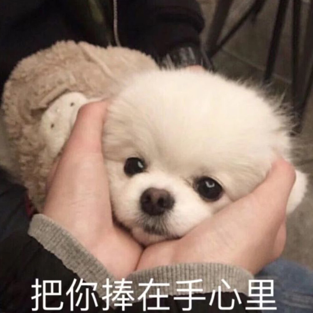 表情包:收到你送的礼物,感动的哭了