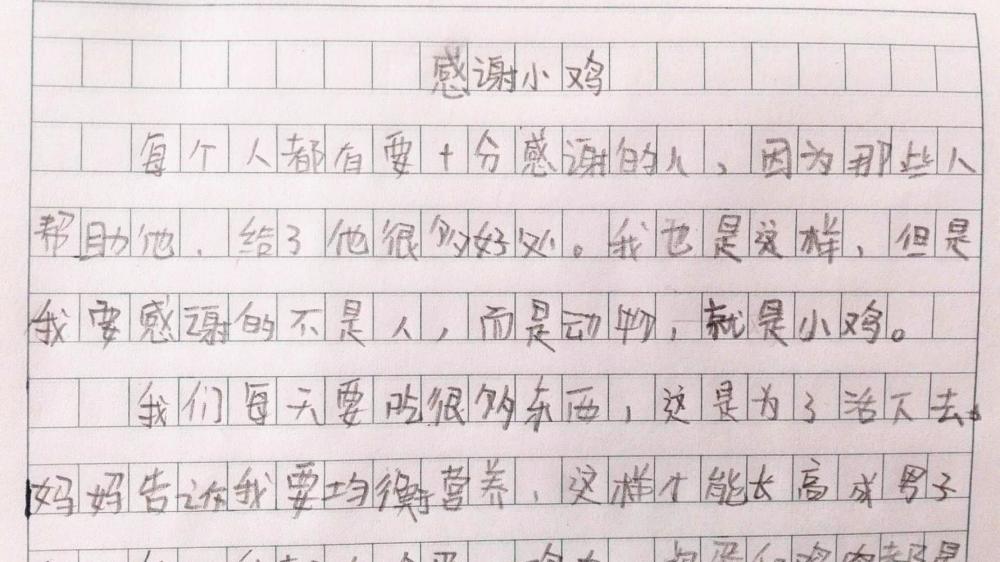 小学生奇葩作文《感谢小鸡》,多吃鸡蛋和鸡肉,老师的