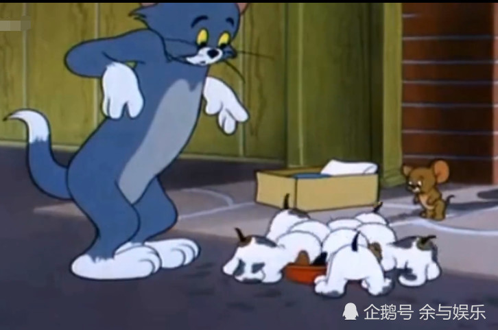 《猫和老鼠》小时候看哭的一集,原来汤姆一直最怕失去