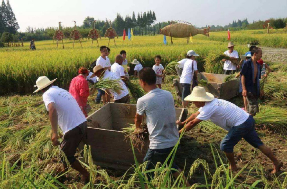 农业,农民,农村,种地,土地