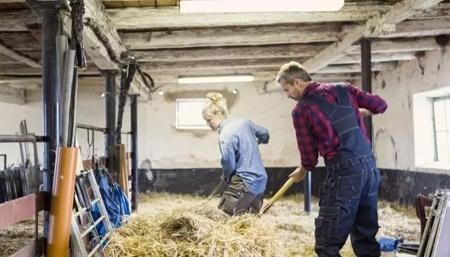 北京夫妇卖房去澳洲当农场主 如今却…