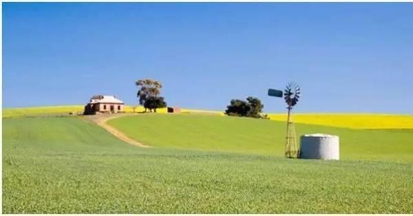 北京夫妇卖房去澳洲当农场主 如今却…