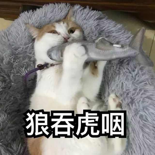 狼吞虎咽