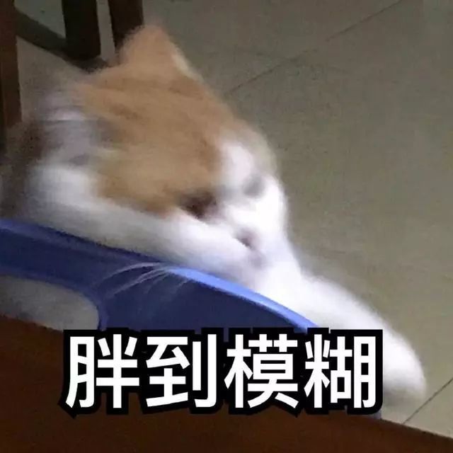 胖到模糊