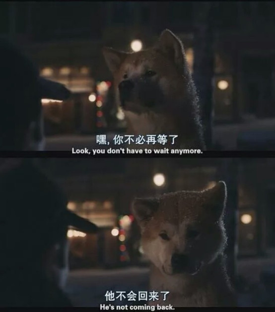 丧句·全网火·配图:请给我一个答案,我要的不是"如果