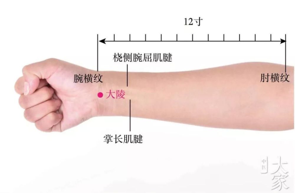 当曲泽与大陵的连线上,腕横纹上3寸,掌长肌腱与桡侧腕屈肌腱之间