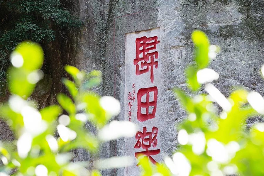 新昌这个小山村,因陶渊明的一首辞, 红 了 