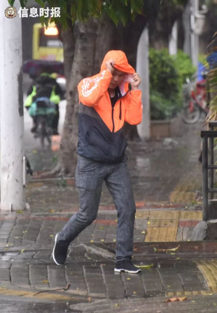 广州新年的第一场春雨来了,今天你有被雨淋到吗?