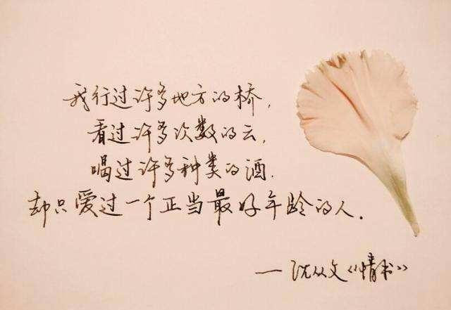 你有没有,一个爱而不得弃而不舍的人?