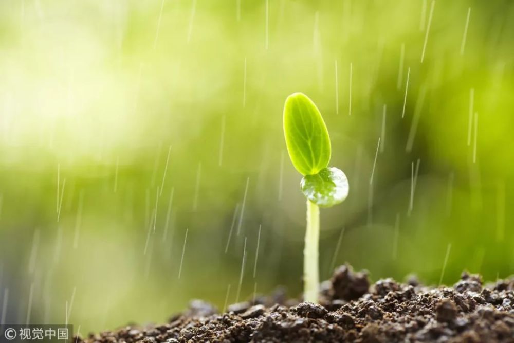 好雨知时节,当春乃发生