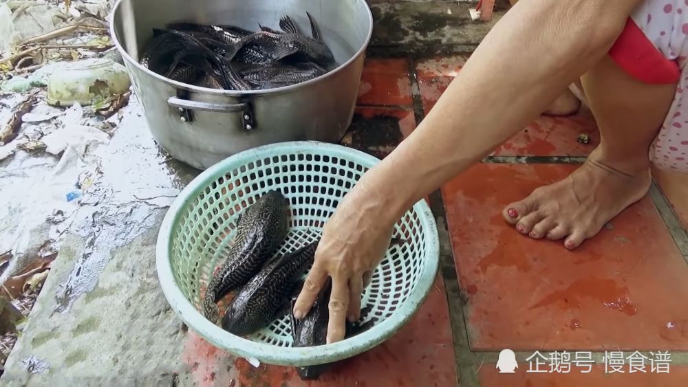越南一家人在家烤鱼吃,大妈洗干净,网友:广东吃