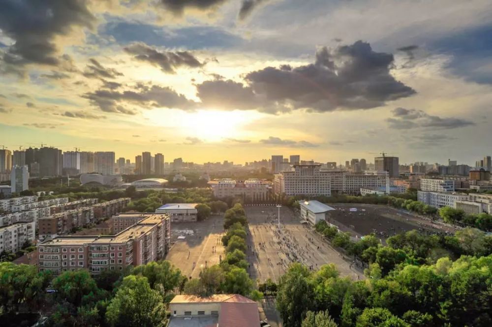 东北林业大学2019届毕业生就业质量报告:农林牧渔就业