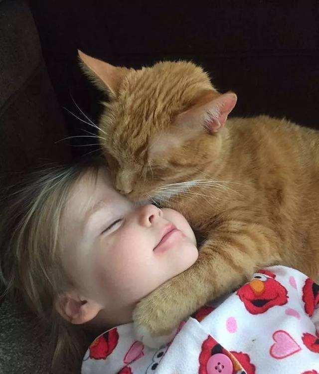 小孩子和猫咪,都是那么的单纯,他们之间的相处,也是最有爱的吧,希望