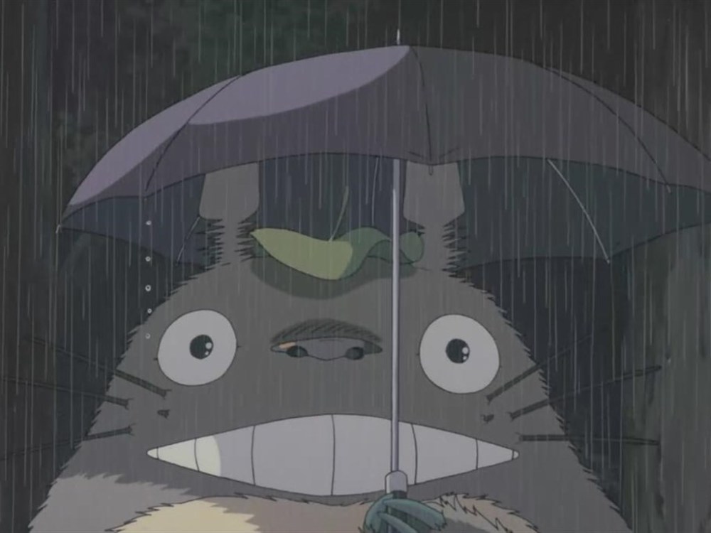 超大萌宠,下雨不愁,人家有伞,我有大头龙猫!