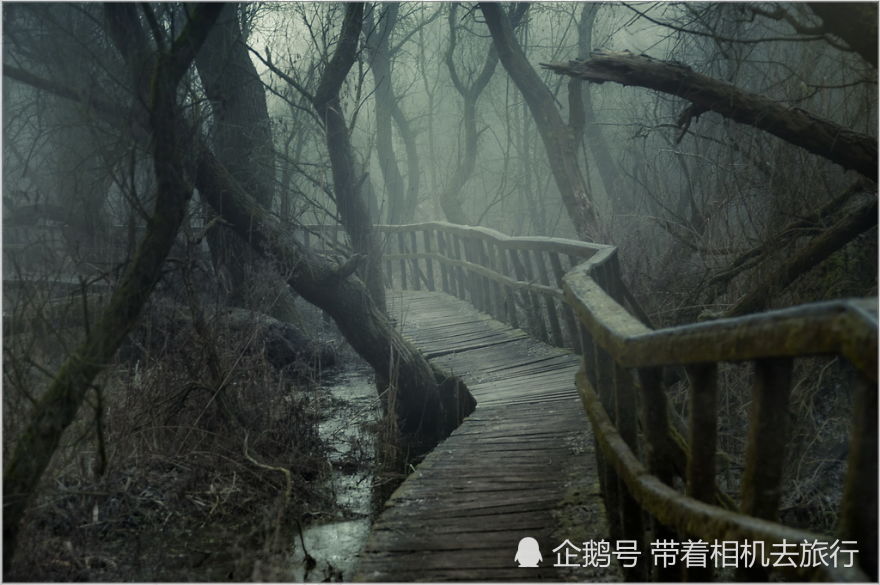 匈牙利摄影师拍到一条无名小路,仿佛魔幻电影中的场景