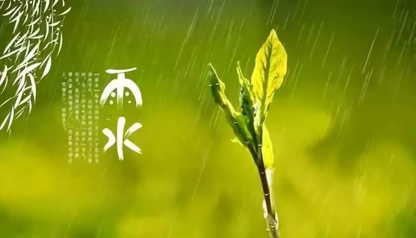 雨水节气习俗