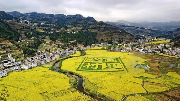 带上攻略,梨花樱桃花油菜花一次看够!