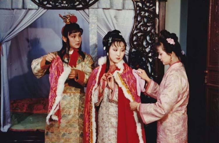 贾宝玉,王夫人,红楼梦,薛宝钗,晴雯