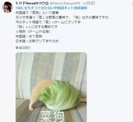 中国式沙雕表情包又火了,日本宅男们爱不释手,网友:你们真优秀